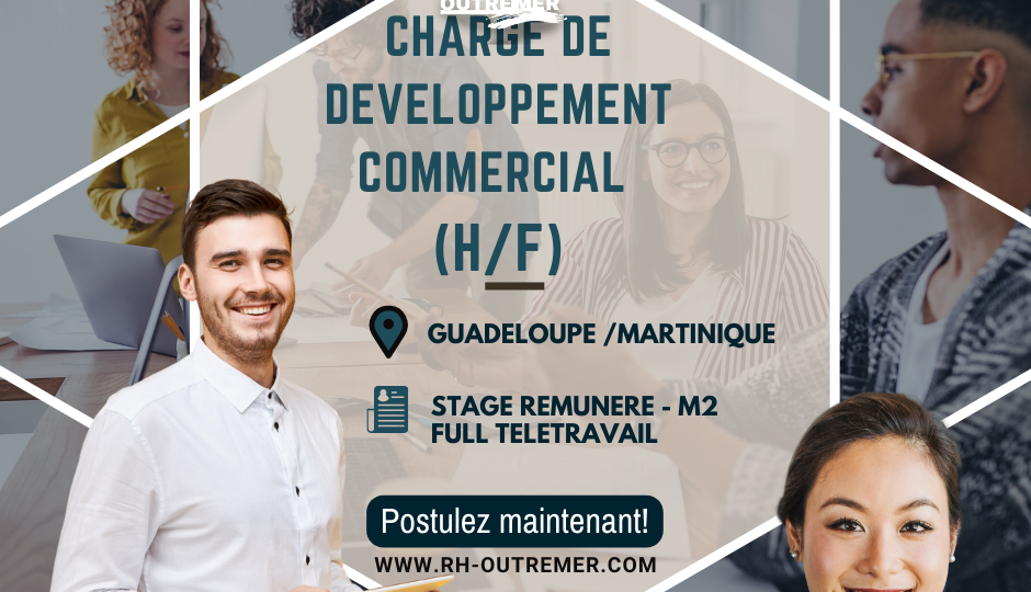 stage business developpement (2)