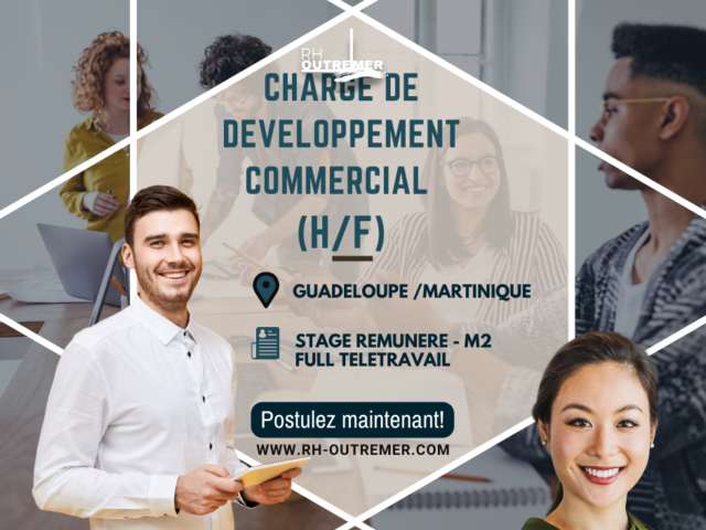 stage business developpement (2)